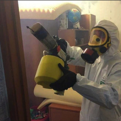 Уничтожение клопов в квартире. Шебекино